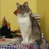 Отзыв от Валерия Ткачева